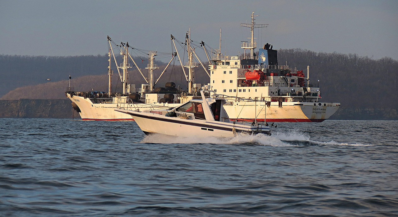 Magazyn Gdynia – jak lokalizacja w zapleczu Trójmiasta wpływa na logistykę firmy?